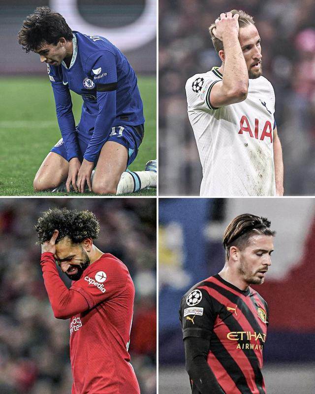 1677194699187043302.jpg 58f57865-9880-43c9-85e0-962e52cb05c5.jpg